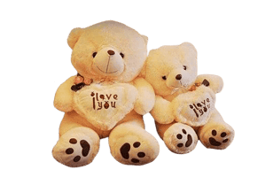 Peluche Ours Géant