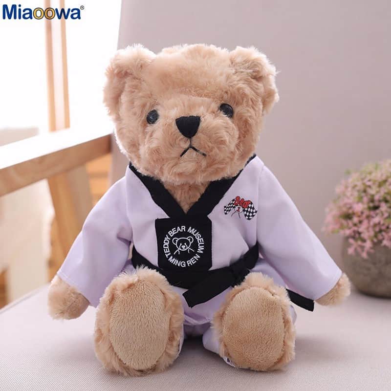 Ours En Peluche Kung Fu