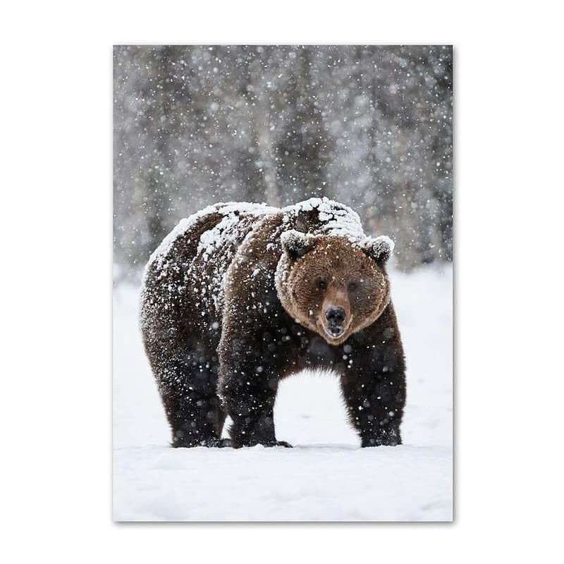Tableau Ours Polaire